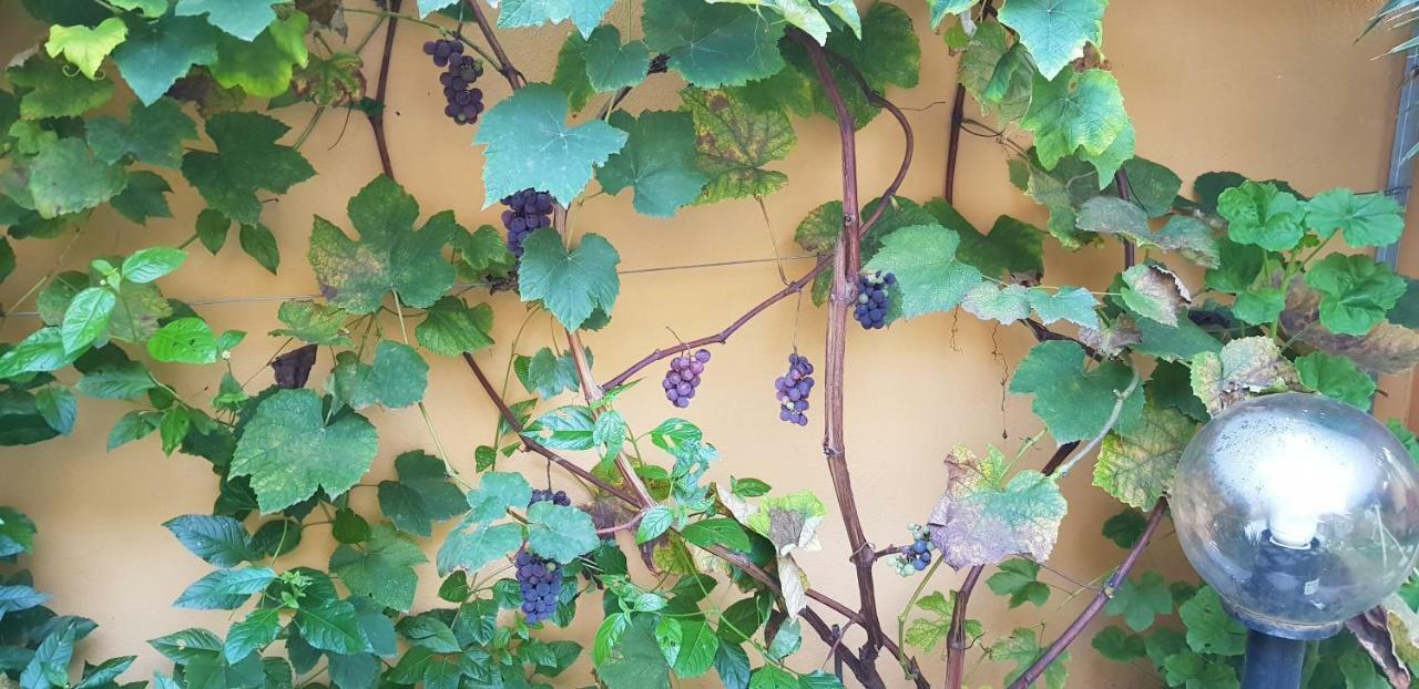 Casa Vacanze Rose E Fiori Sardegna San Vito  Εξωτερικό φωτογραφία